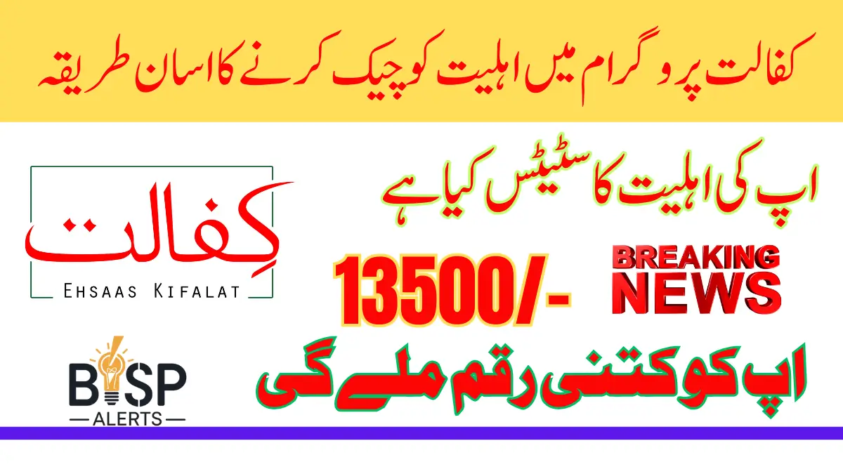 How to Check Benazir Kafaalat Payment Status by CNIC in 2024