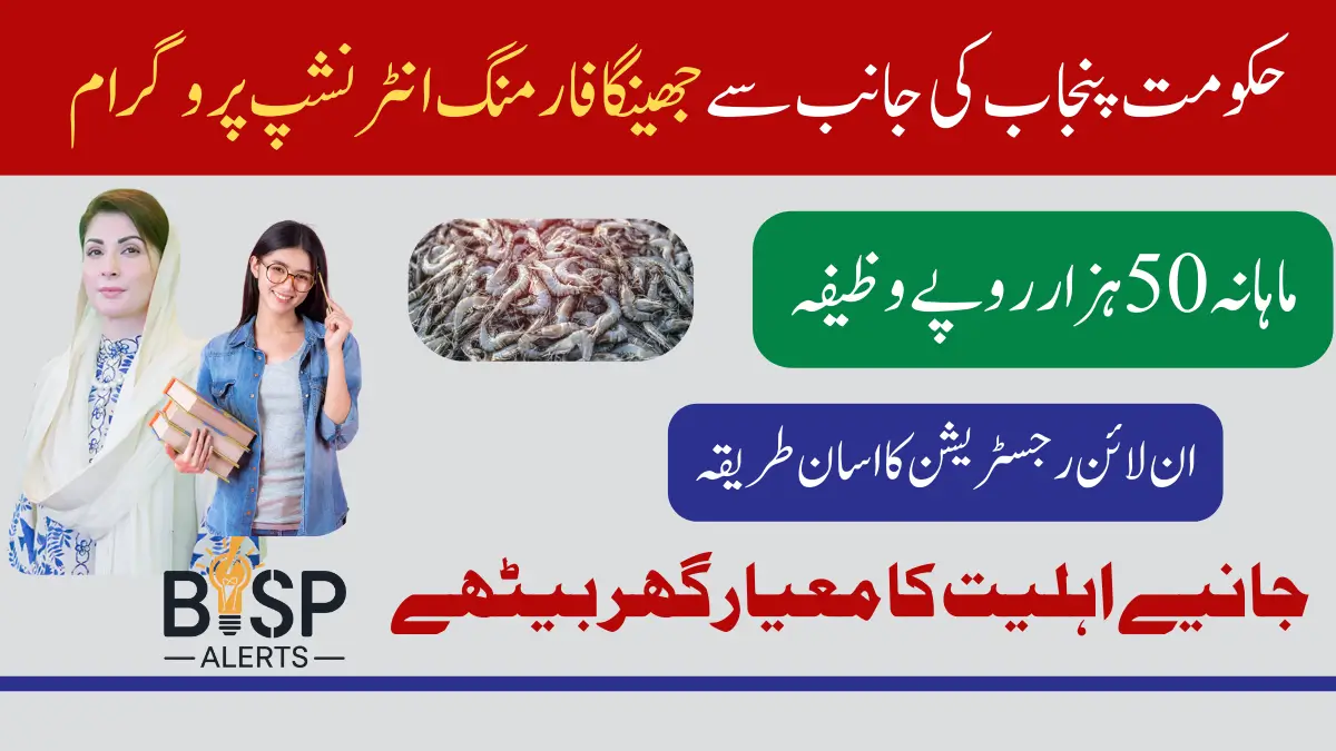 Maryam Nawaz Launches Shrimp Farming Internship Program For Punjab Youth