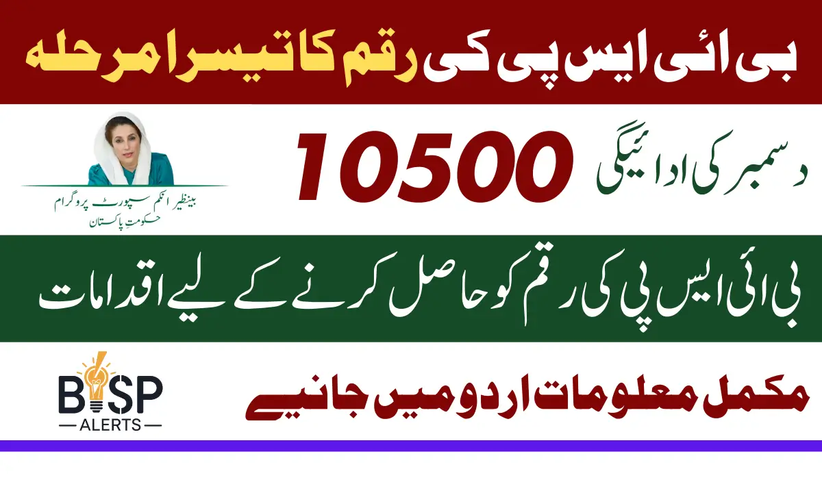 Benazir 8171 Program Phase 3 Payment 10500 In December 2024 Check Status Of Eligibility