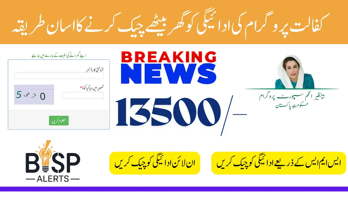 Benazir Kafaalat Payment Check Through 8171 Web Portal With Updated Date 2025 Breaking News