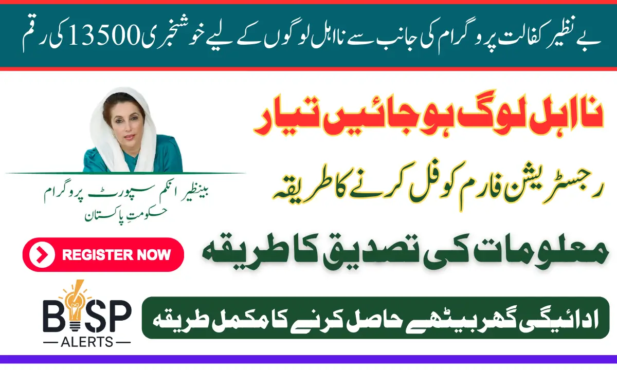 BISP 13500 Ineligibility Registration Form In 2025 For PSER Registered Women