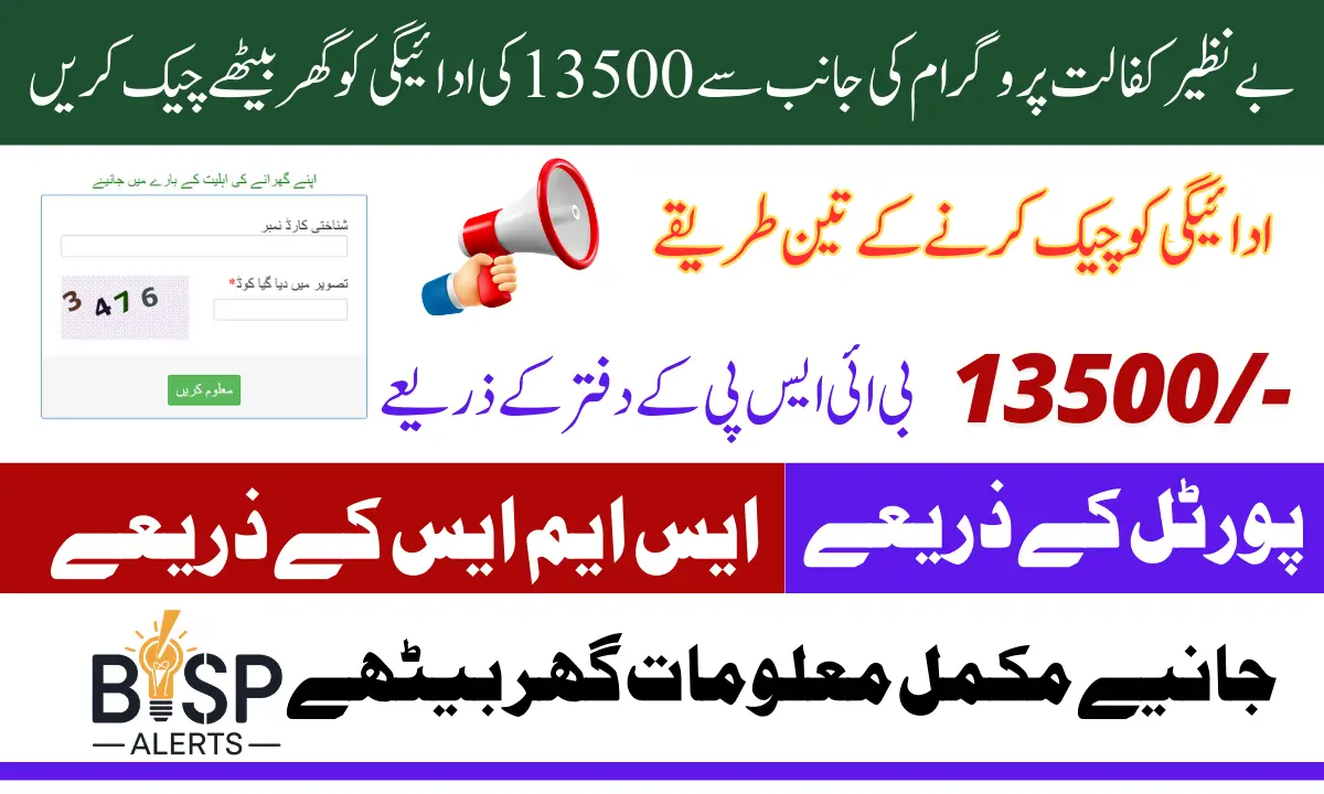 Benazir Kafalat 13500 Payment Check Through 8171 Web Portal Latest Update 2025