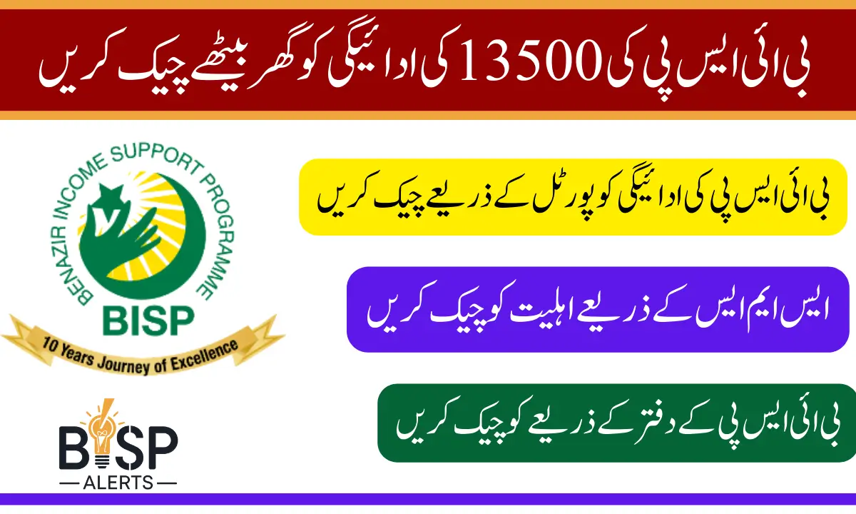 8171 BISP Program Check New Payment Status Through CNIC Know Details 2025