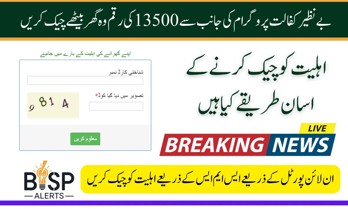 BISP 13500 Payment Check Online Through 8171 Portal By Using Easy Method 2025