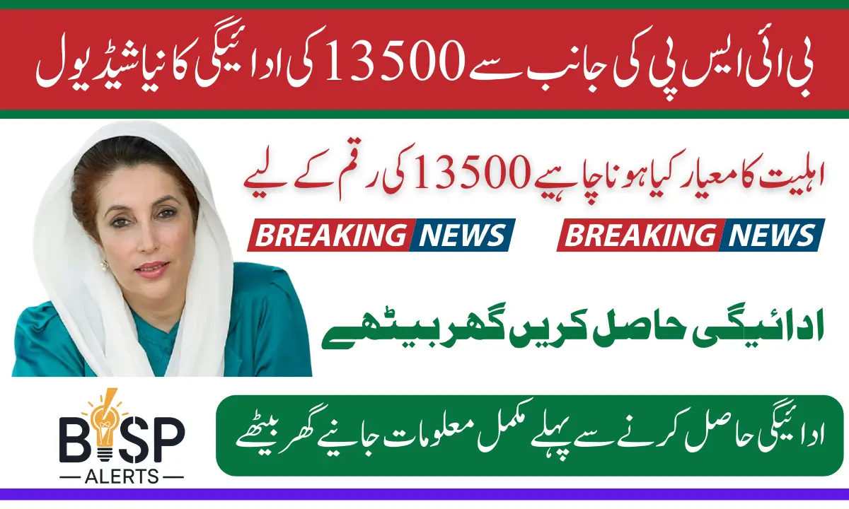 BISP 8171 Program 2025 Payment Criteria Reveled Know Details Before Apply